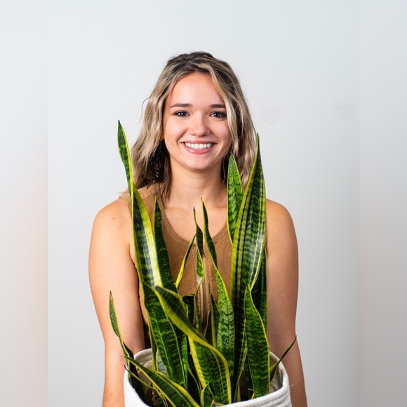 Meet your Posher, Sophia - Picture 3 of 3